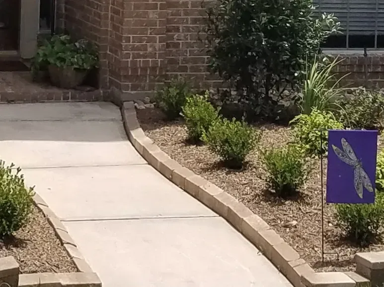 Concrete walkway with brick edging, leading to a brick home. Landscaping with shrubs and a purple garden flag.