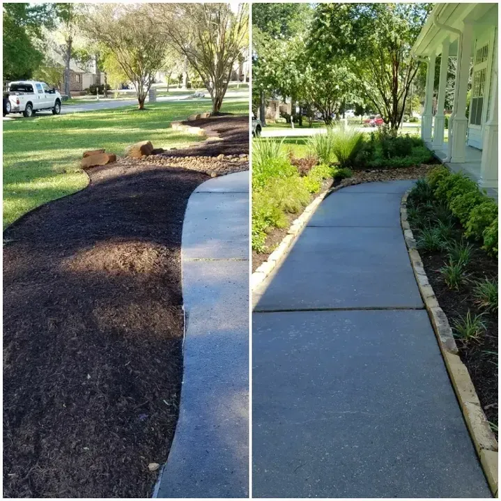 Side-by-side view of a sidewalk. Left side has fresh mulch, right side has landscaping with plants.