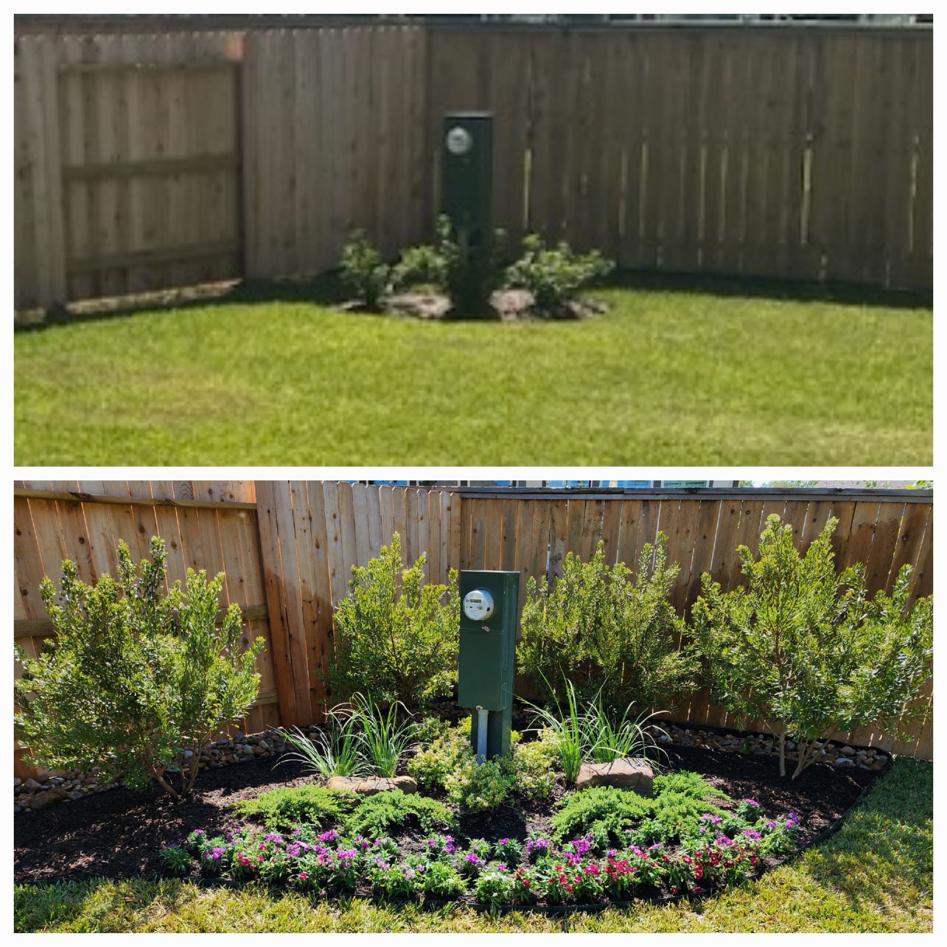Before and after of a landscaped yard. Green shrubs and flowers surround a utility box, set against a wooden fence.