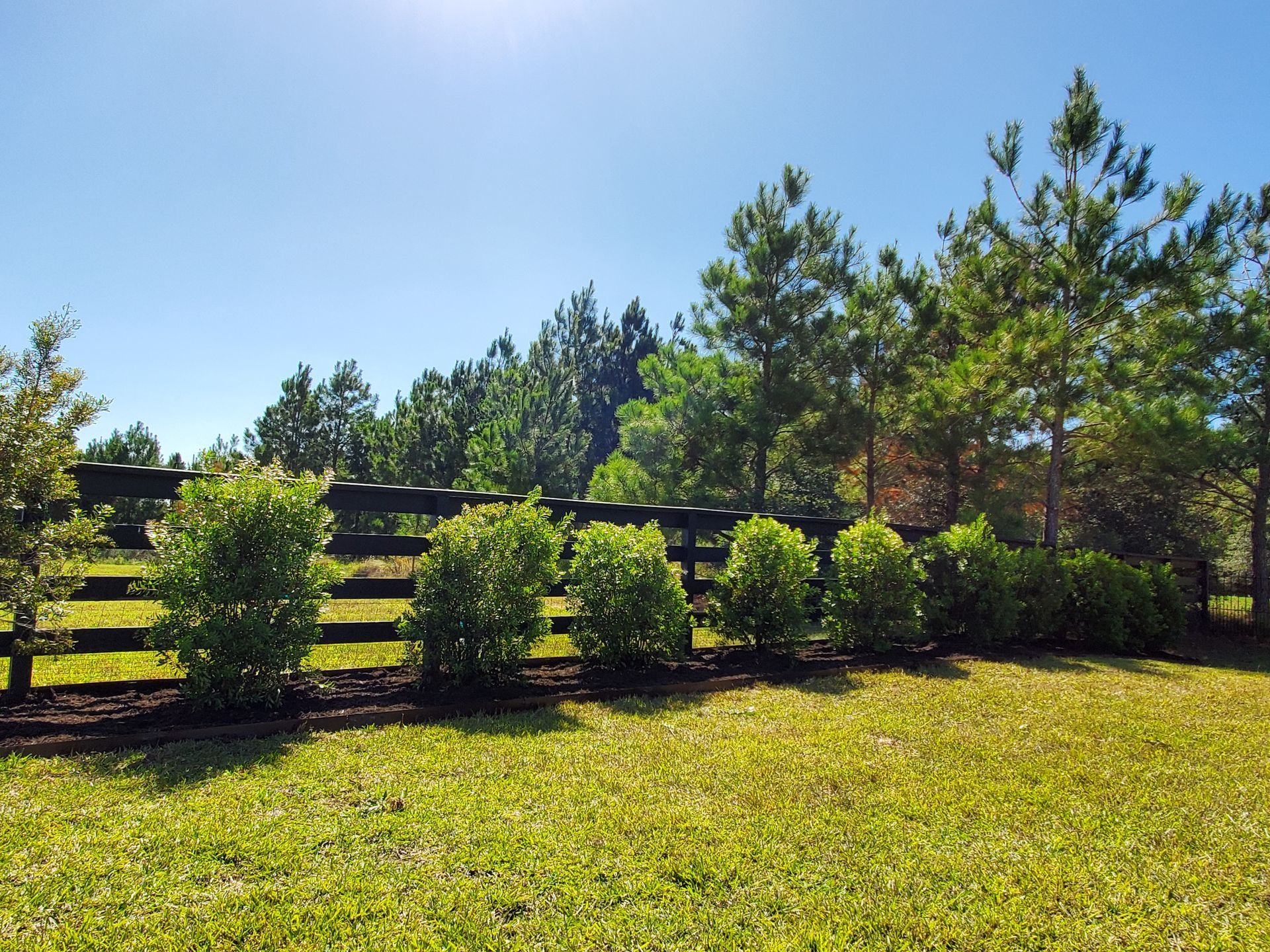 Wooden fence with green bushes, trees, and grass under a blue sky.