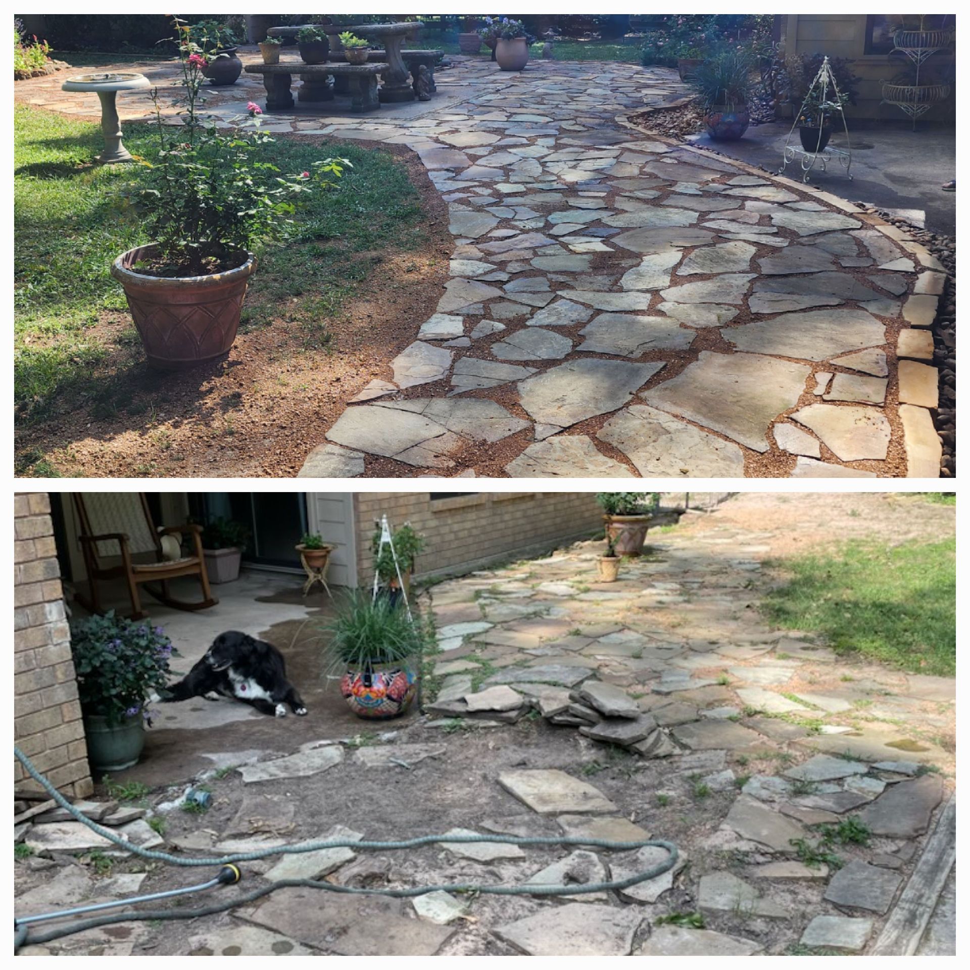 Top: Flagstone walkway in backyard. Bottom: Unfinished walkway and a dog.