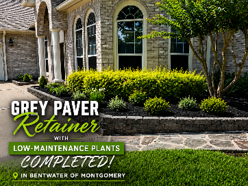 Grey paver retaining wall with low-maintenance plants in front of a stone house entry.