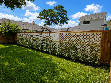 Backyard with green lawn, wooden lattice fence, and a blue sky with clouds.