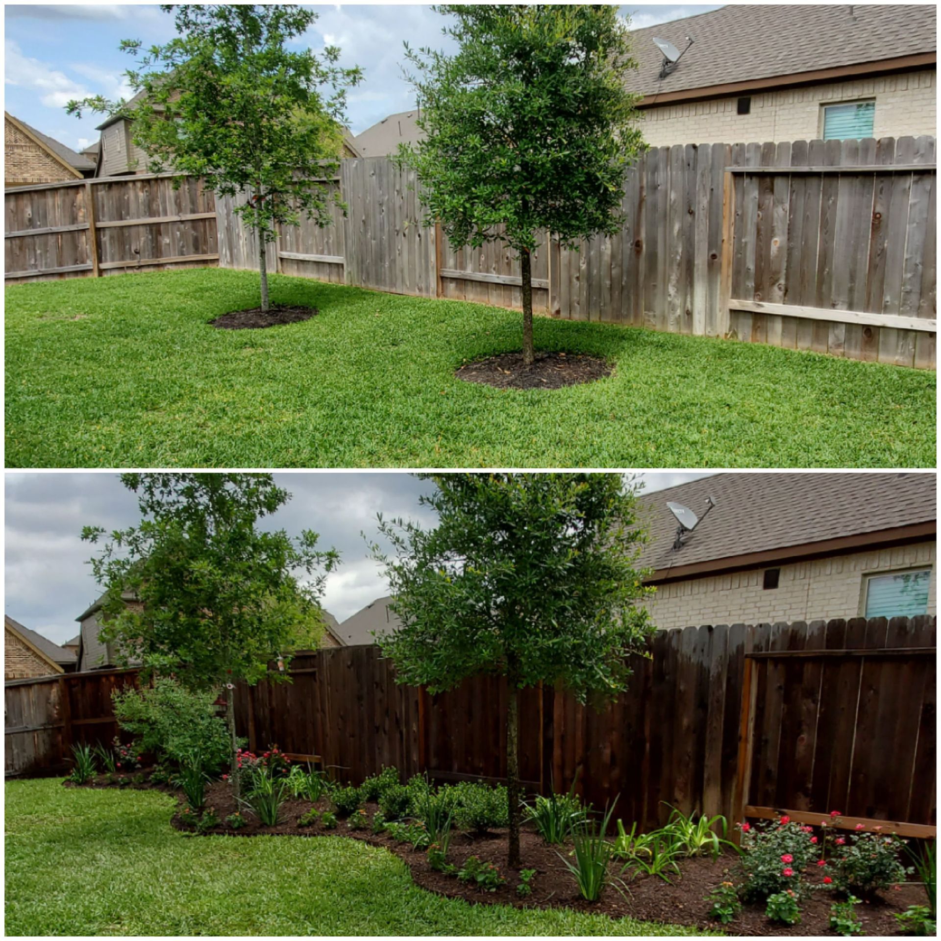 Top: Grassy backyard with two trees. Bottom: Backyard with flowerbeds added around the trees.
