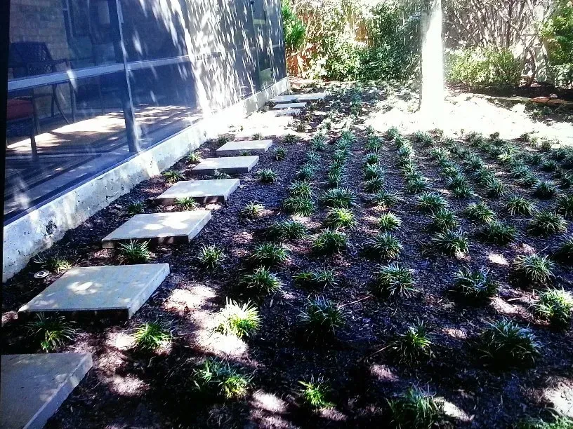 Stone pathway through a garden bed with rows of green plants and a shaded patio.