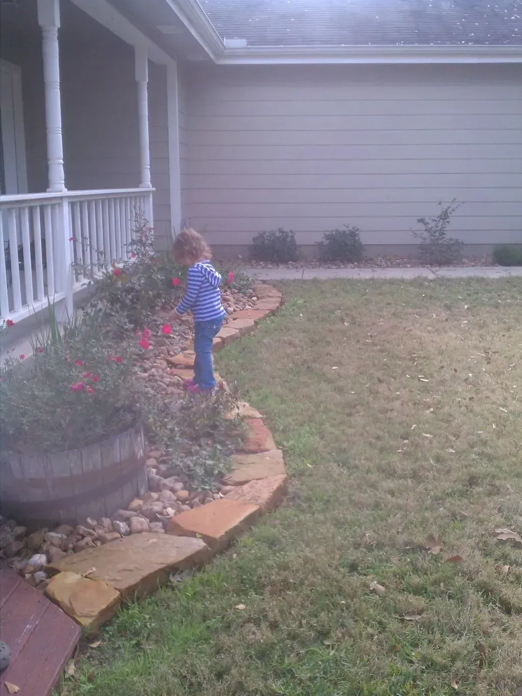 Child in blue striped shirt stands near a flower bed by a house.