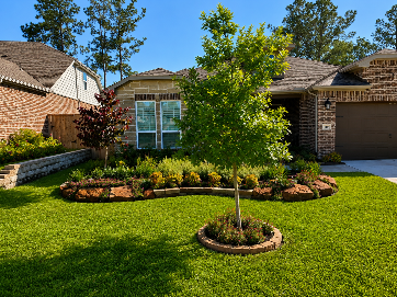 Suburban brick house with manicured lawn, landscaped flower beds, and a young tree in the front yard