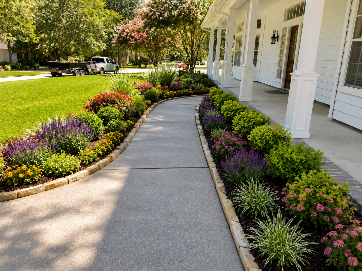 Before and after of a concrete walkway and landscaping. New design with plants, rocks, and dark mulch.