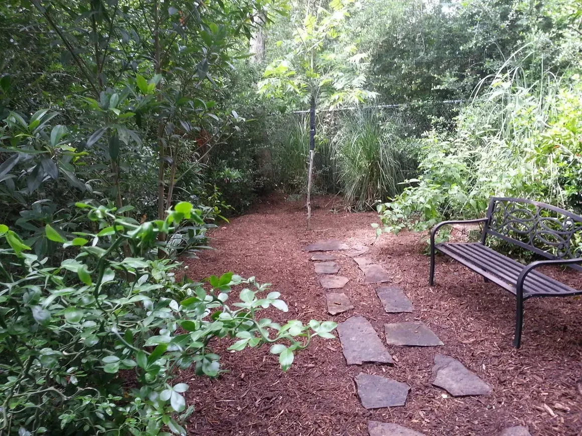 Stone path through a wooded area with mulch, a bench, and lush green foliage.