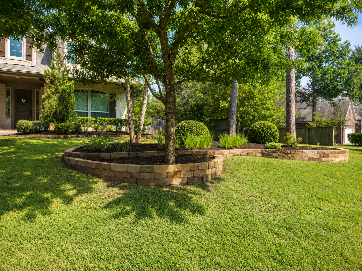 A grassy front yard with a tree surrounded by a stone bed. A house is in the background.