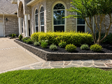 Landscaped front yard with a tree surrounded by plants and solar lights.