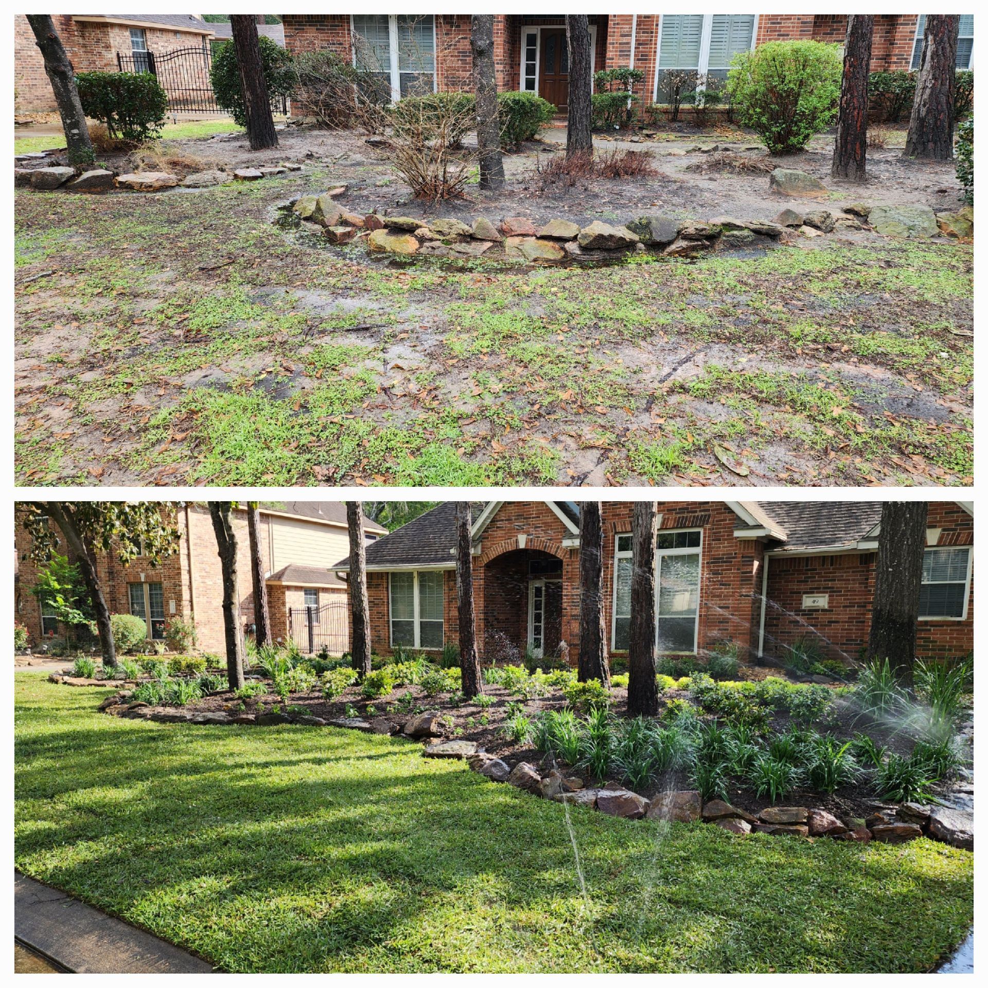 Before and after of a home's landscaping. Top shows dry yard. Bottom shows green grass and new plants.