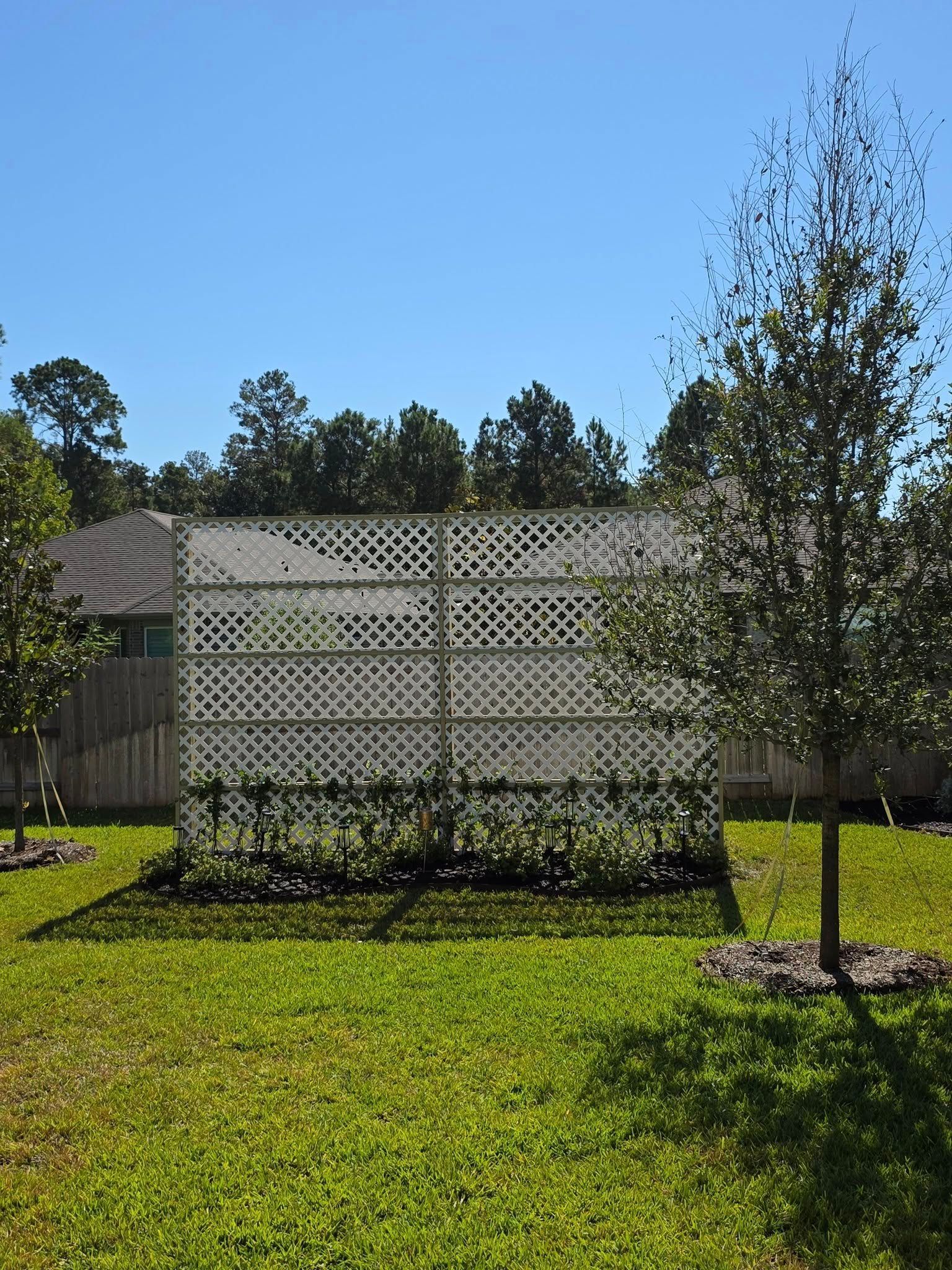 White lattice screen in a backyard, with a tree in the foreground. Blue sky and green grass.
