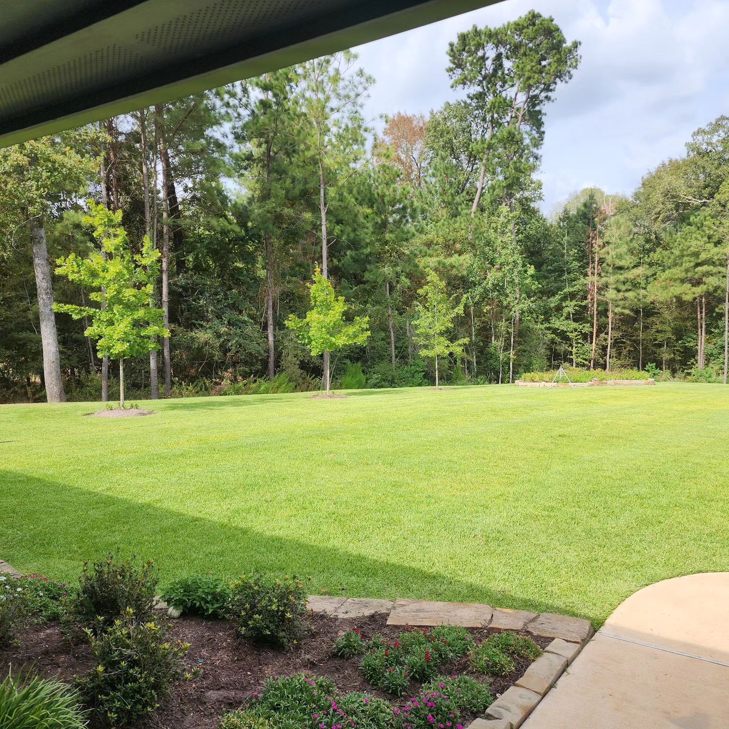 Lush green lawn with trees in the background, viewed from beneath a covered area with a small flower bed.