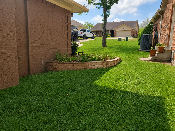 Backyard with green lawn, brick walls, raised garden bed, and potted plants under a sunny sky