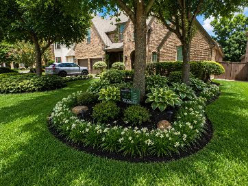 Landscape bed with lush green plants and white flowers beneath a tree in front of a stone house