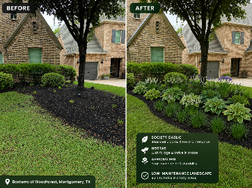 Before-and-after of a stone house landscape with trimmed shrubs and dark mulch.