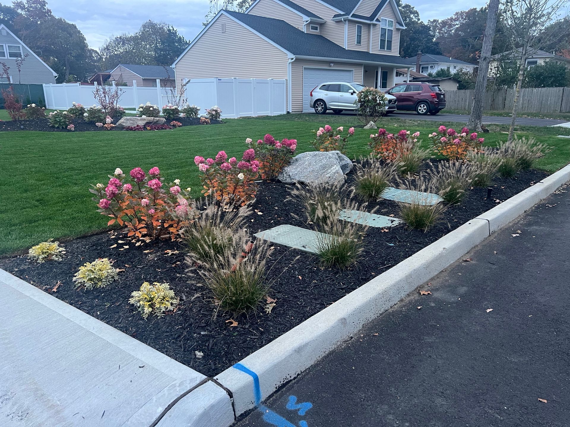 A manicured front yard garden with pink hydrangea bushes, small decorative stones, and a large boulder near a driveway.