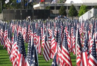 Flagpole rochester deals mn