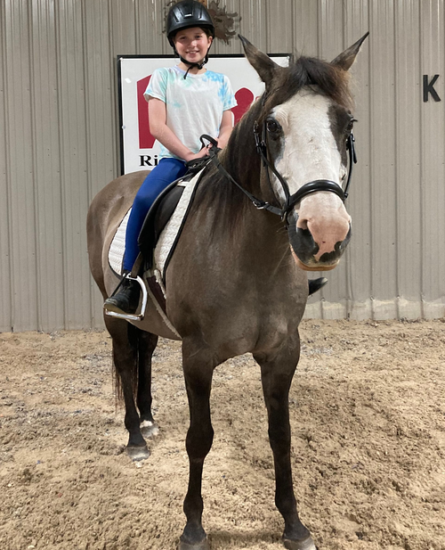 pine-ridge-riding-center