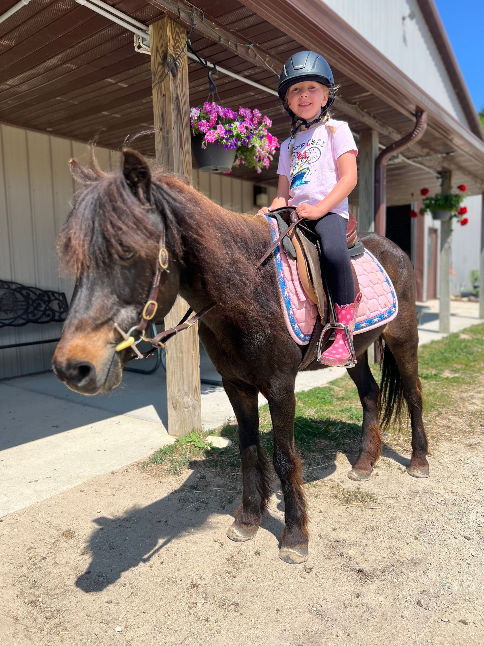 Child wearing a helmet riding a brown pony outdoors. Pony has a saddle and pink saddle pad.