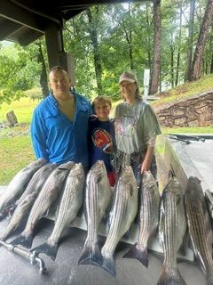 Three people under a shelter standing behind a row of large fish laid on a table