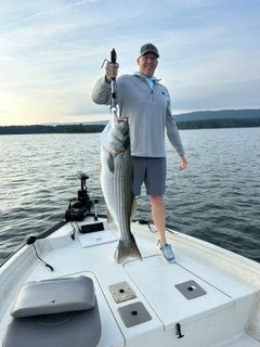Man standing on a boat deck holding a large fish over calm water at sunset