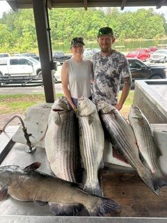 Two people posing with several large striped fish under a pavilion near a lake.