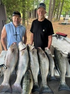 Two men standing behind a row of large striped bass on a dock in a wooded area
