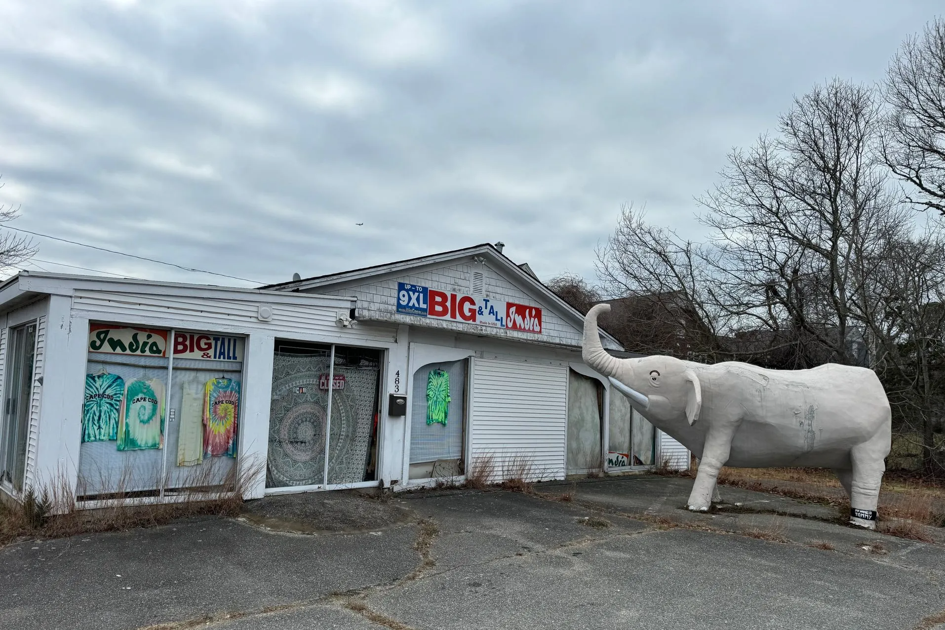 Abandoned roadside shop with large white elephant statue in front. Cloudy sky.