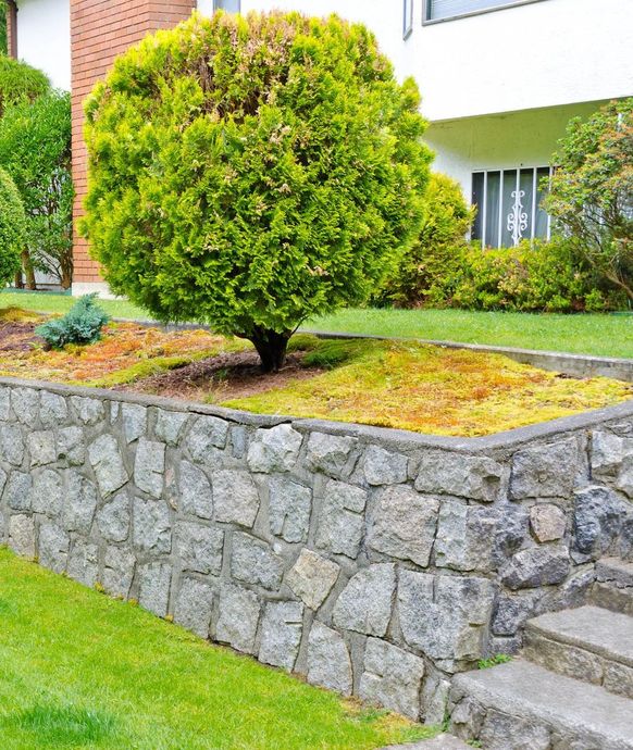 A stone wall surrounds a lush green yard with trees and bushes