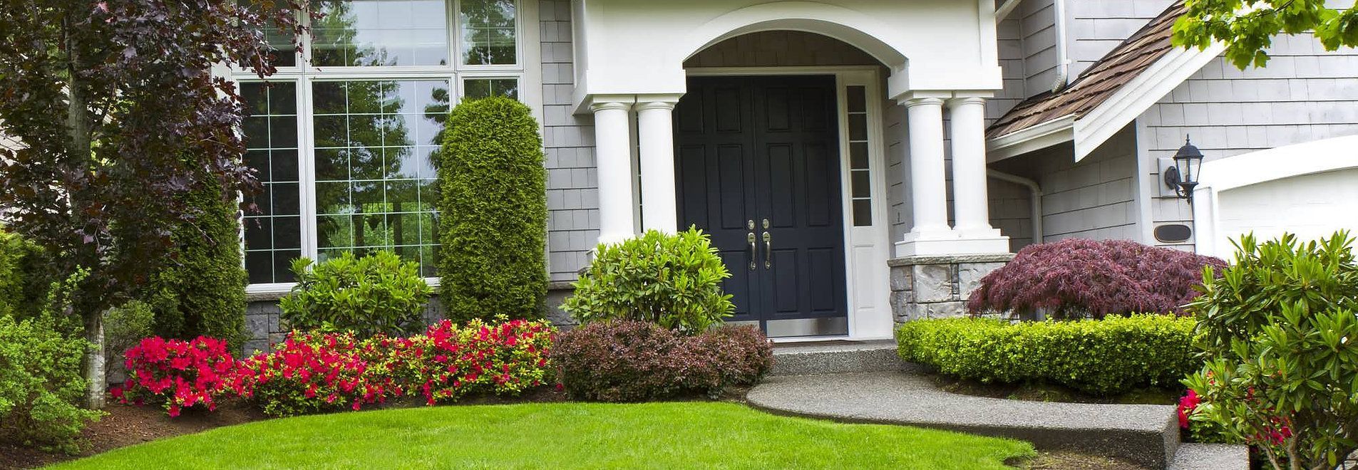pest control company