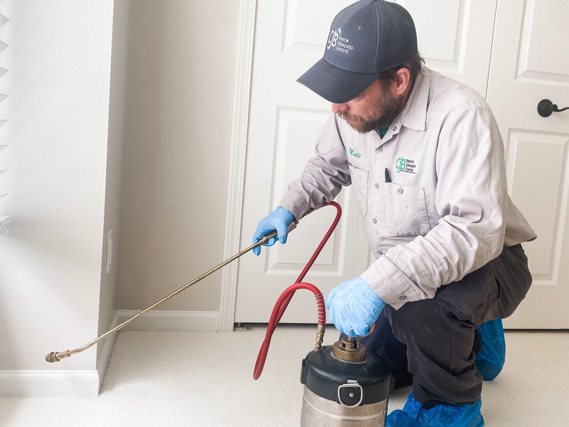 local exterminators