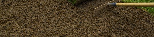 Decorative stone