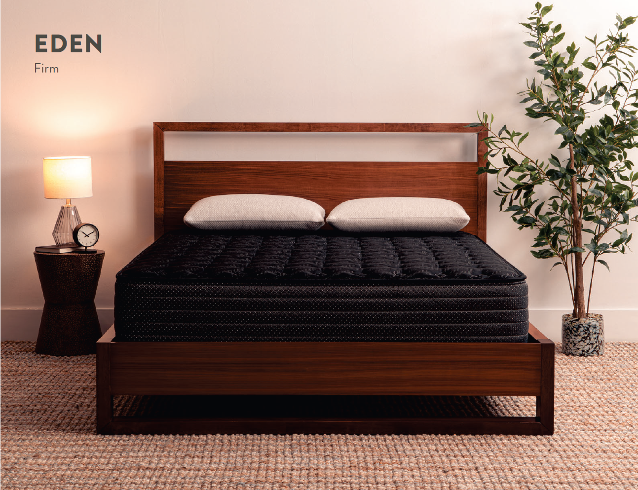 A dark mattress with two pillows on a wooden bed frame. A nightstand and plant flank the bed.