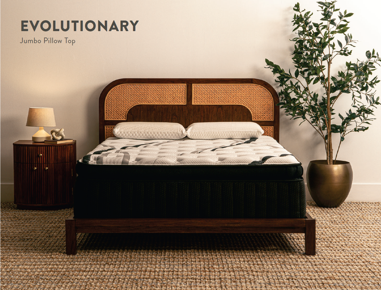 A bedroom with a bed, nightstand, and potted plant. The bed has a dark mattress and headboard.