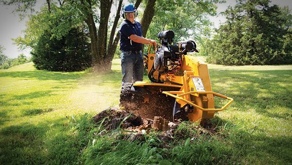 A man is using a machine to remove a tree stump.