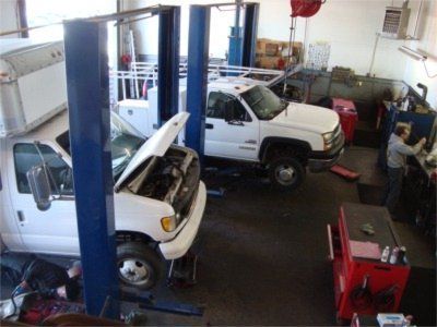 Hesperia Transmission shop