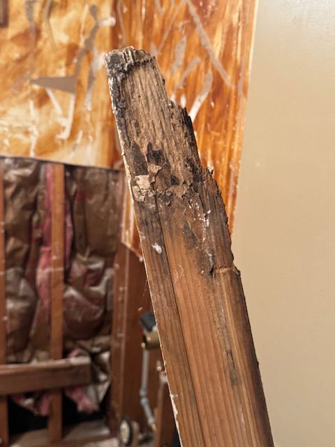 Close-up of a damaged, splintered wood beam with dark discoloration and rot. Background shows partially exposed wall.