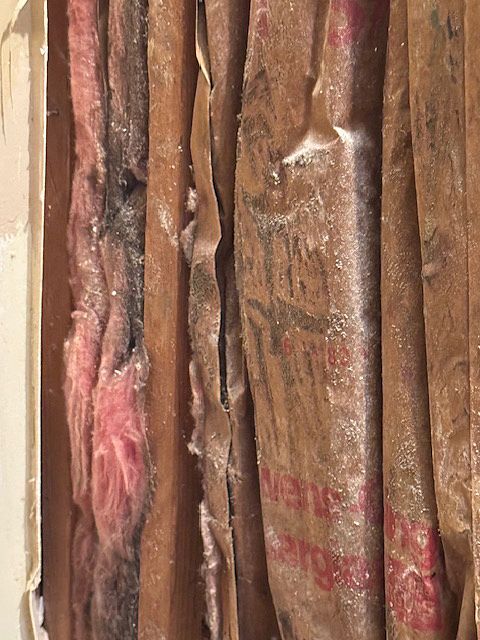 Pink insulation with dark mold and paper facing.