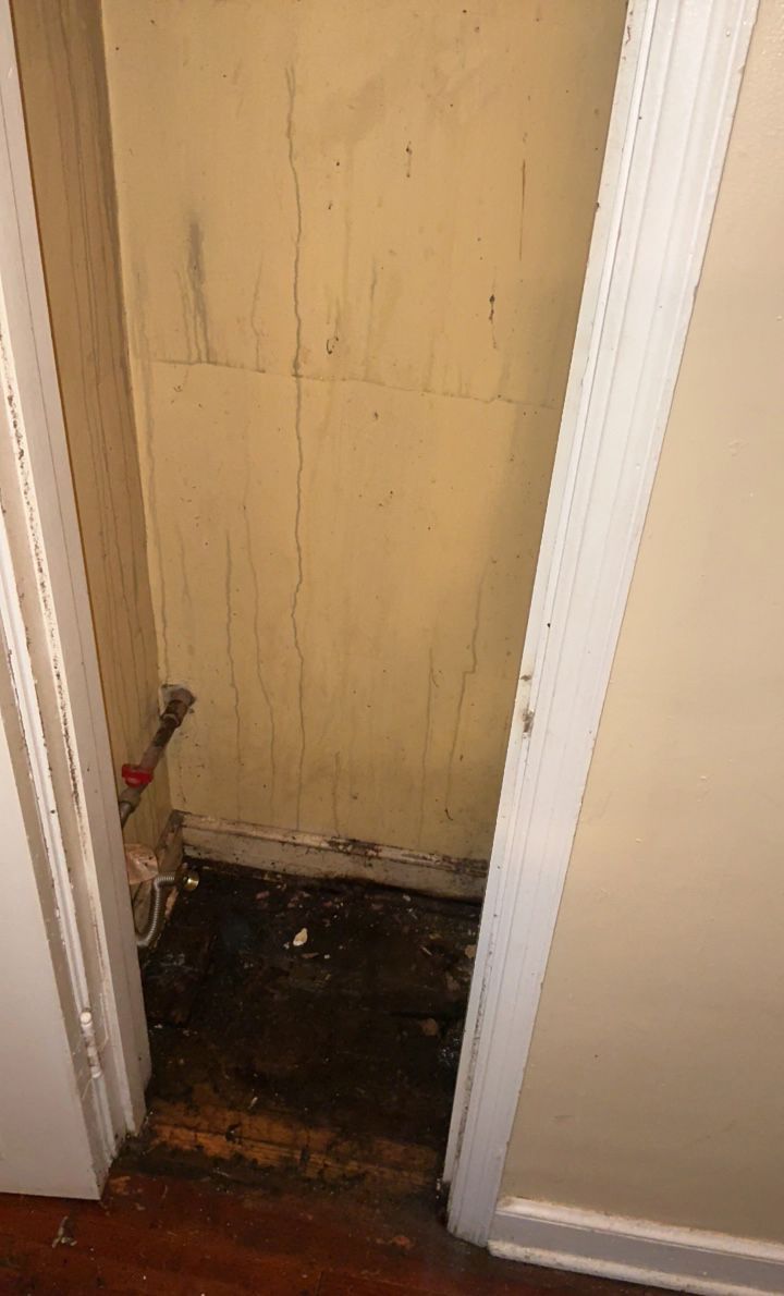Small dark space with mold and water damage. Wall is yellowed.