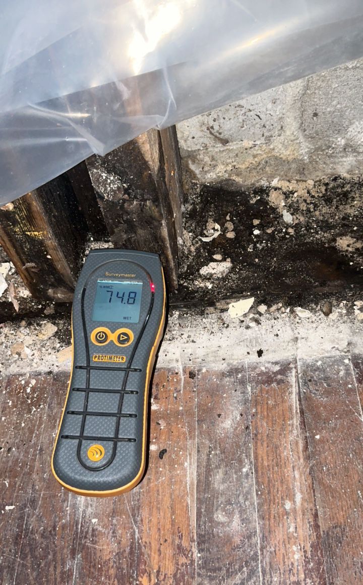 A moisture meter shows a reading of 74.8 on a damp wooden surface with visible mold.