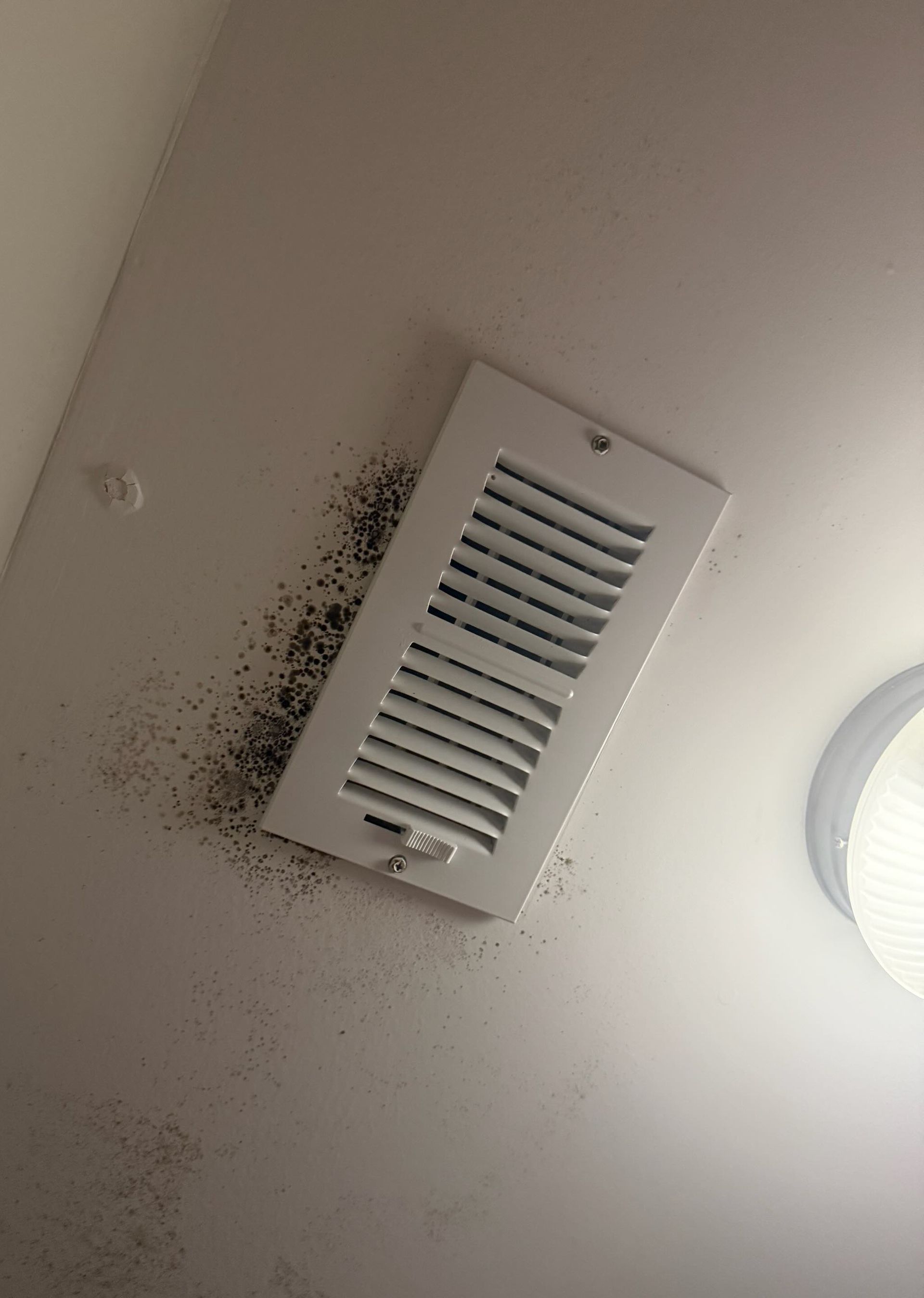 Ceiling vent covered in dark debris and a light fixture.