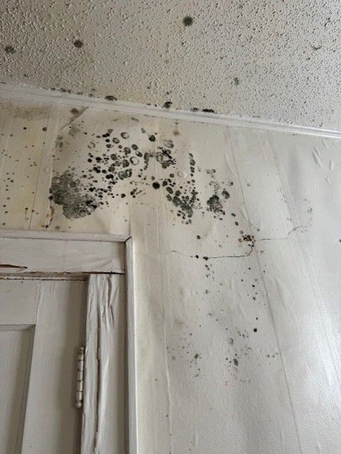 Dark mold growth spreading across a white wall and ceiling near a door frame, showing signs of water damage and peeling paint.