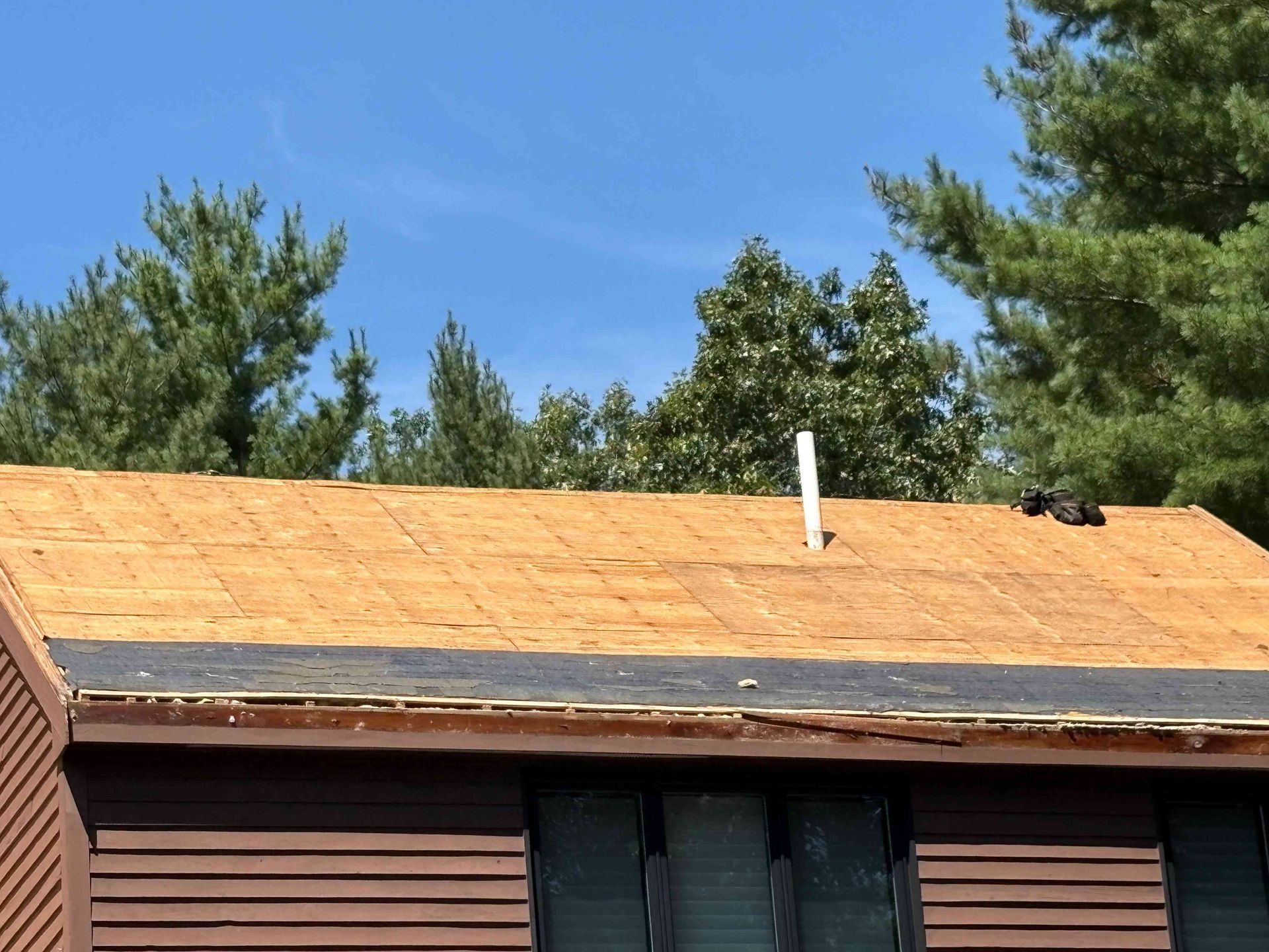 House roof under construction with plywood sheathing, dark trim, and pine trees against a blue sky