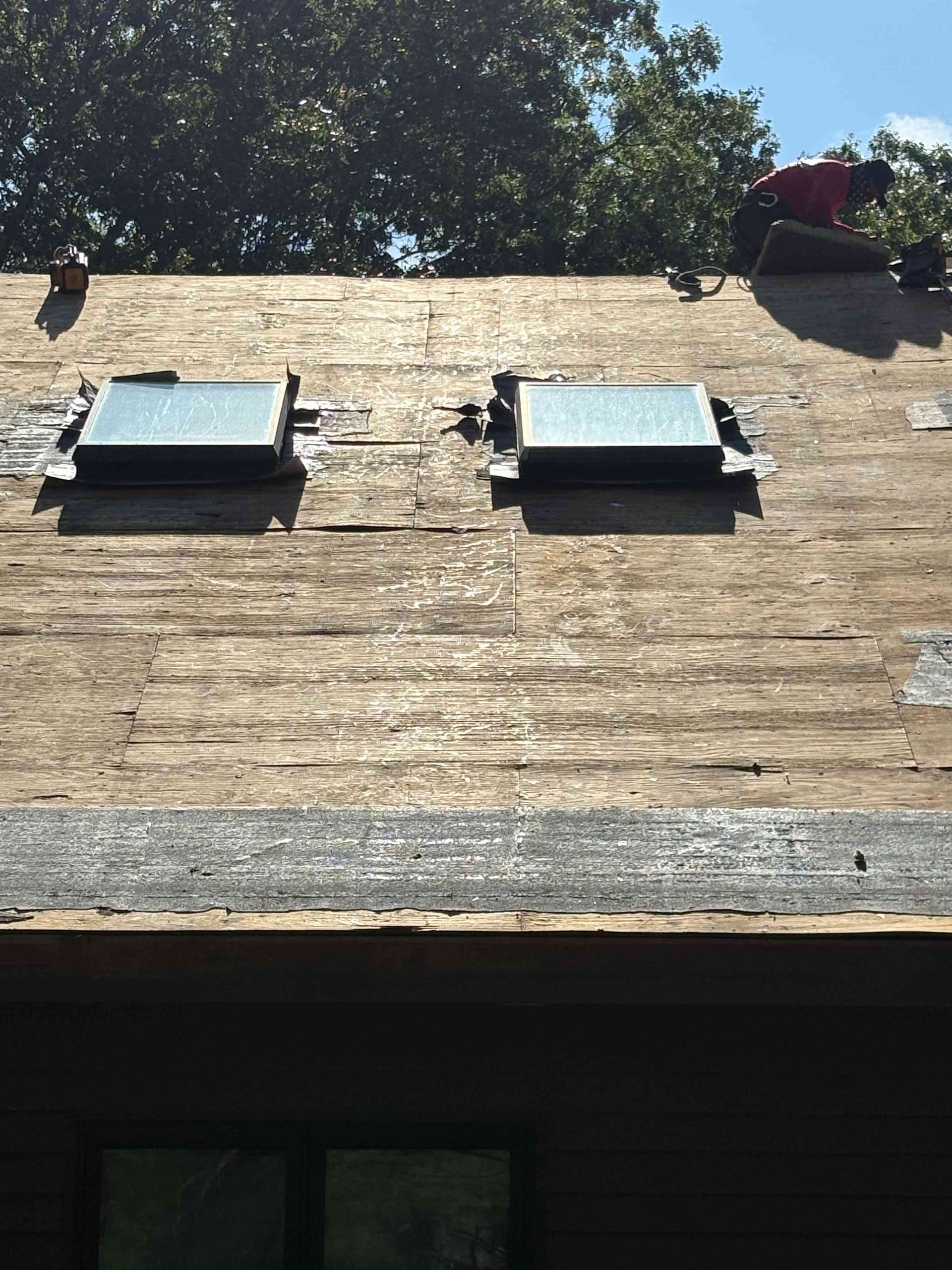 Old shingled roof with two skylights and trees above the ridge line