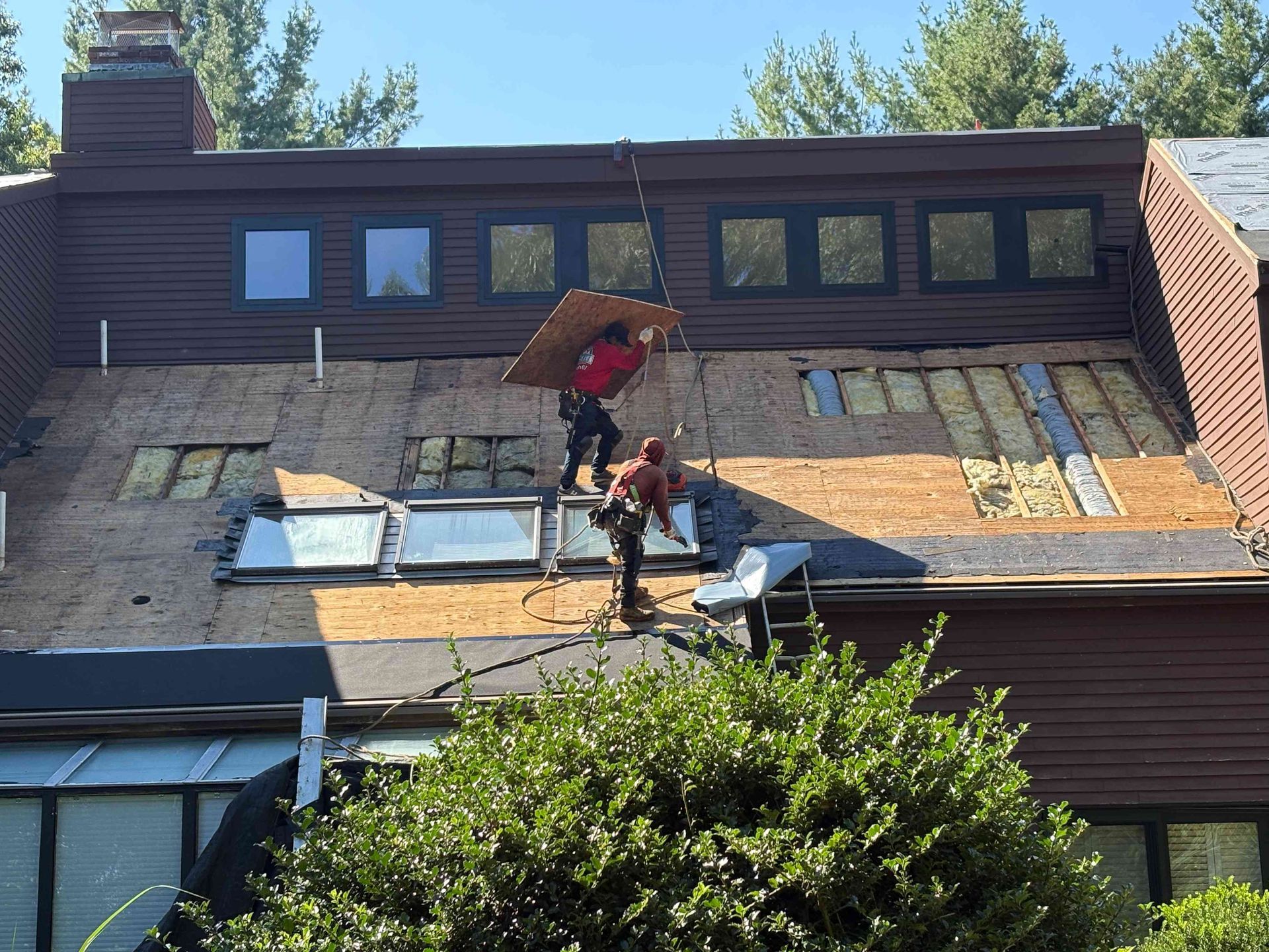Workers repair a steep roof with plywood and shingles on a house under blue sky