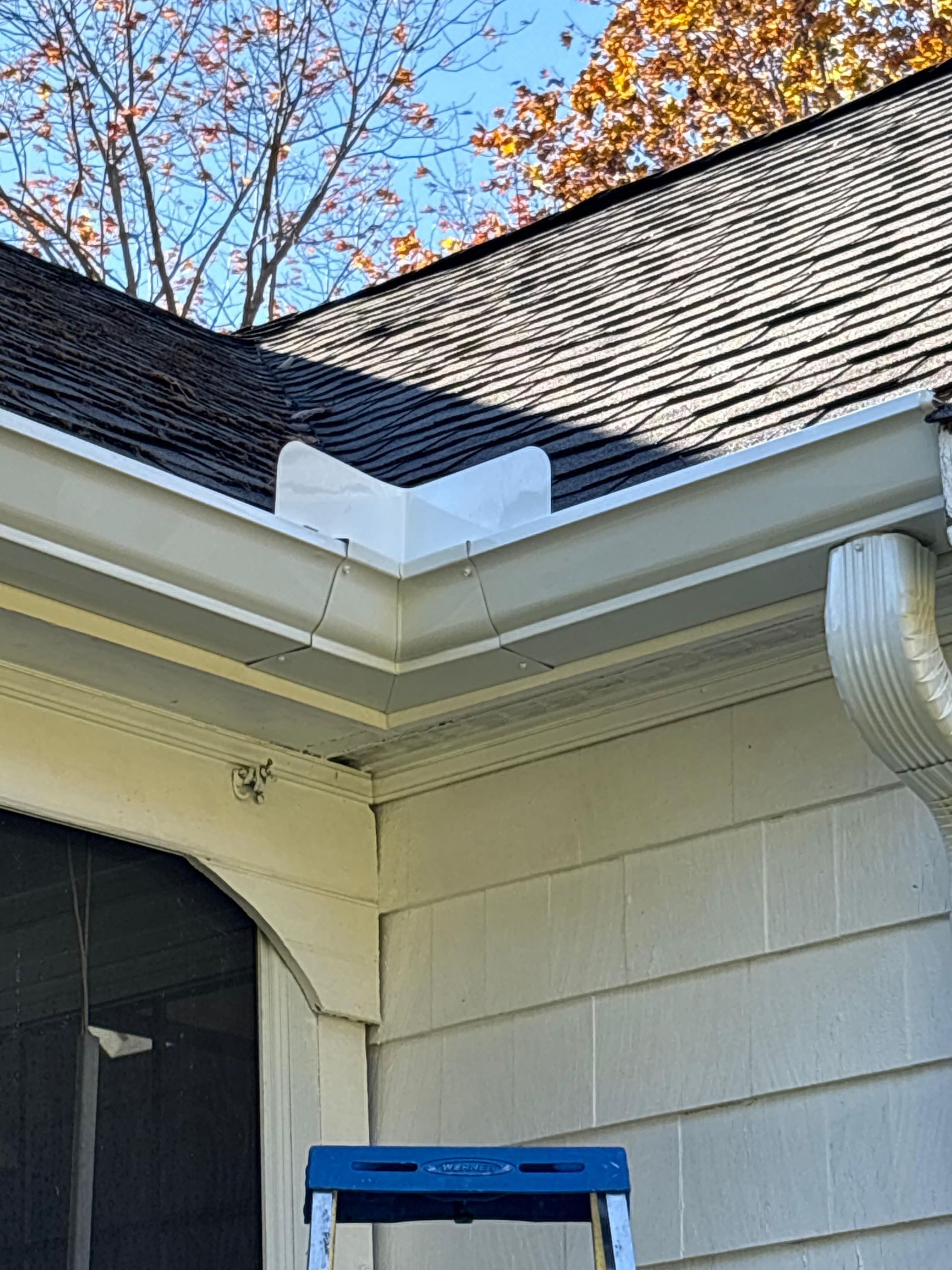 House roof and gutter corner with a blue ladder below, against a clear sky and autumn tree branches