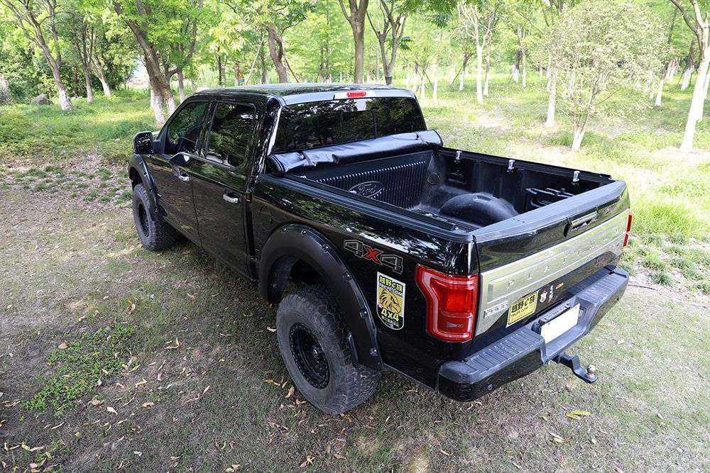 Black Ford F-150 truck parked on grass near trees, featuring black tires, bed cover, and a trailer hitch.