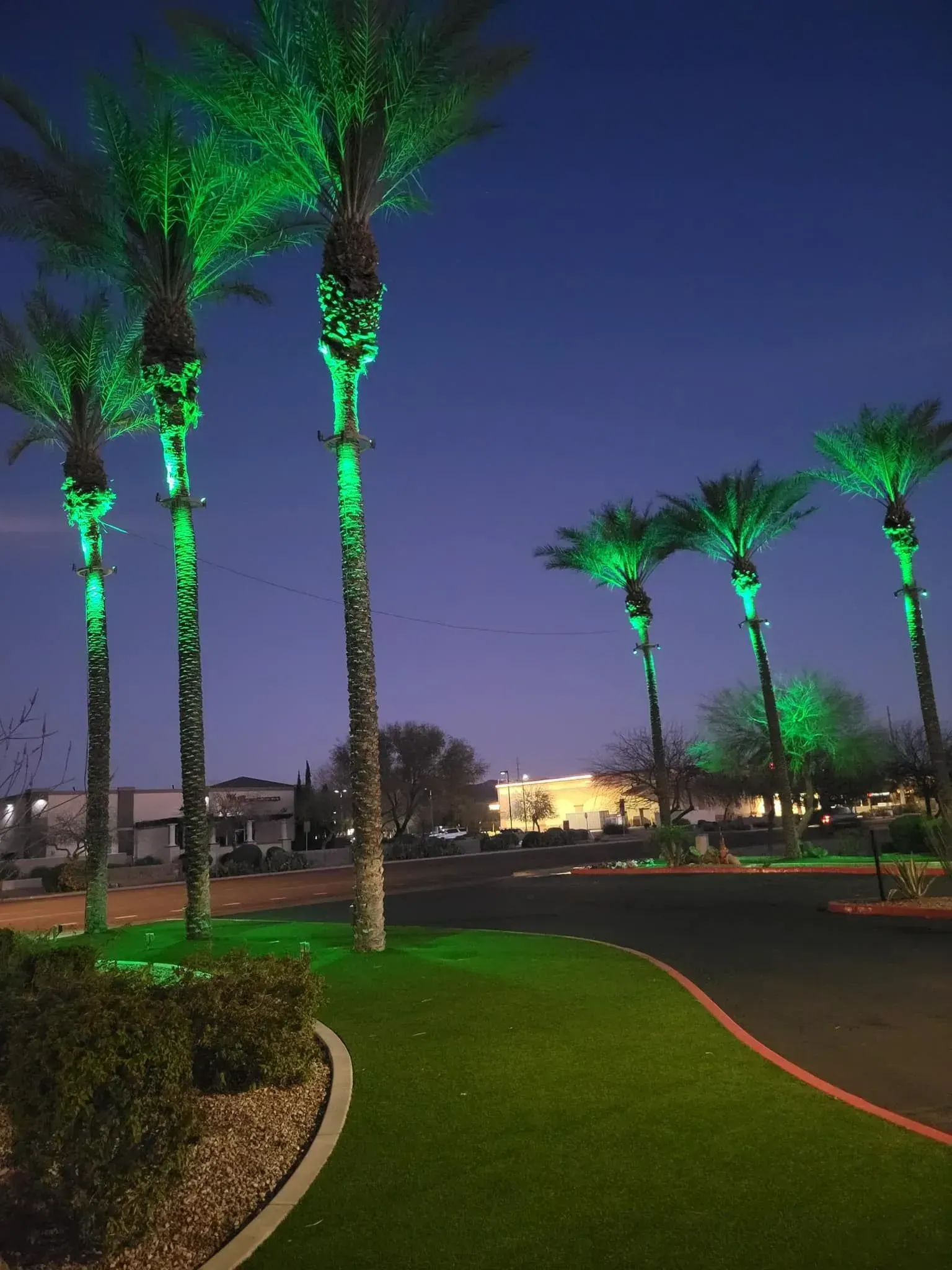 Palm trees lit green along a landscaped path at dusk, with a curved road and buildings in the background